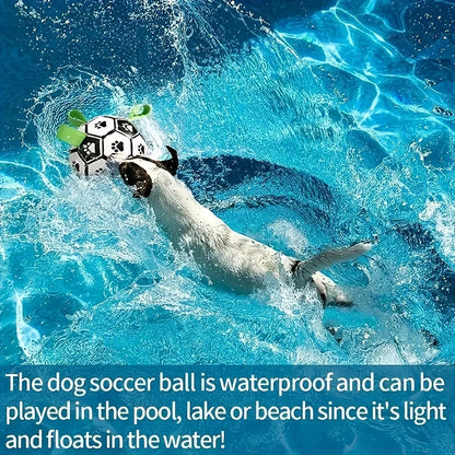 Interactive Dog Soccer Ball