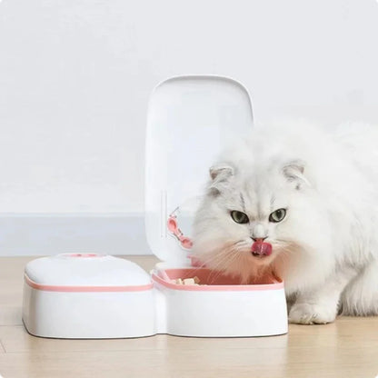 Dog Cat Automatic Feeder