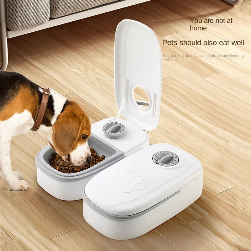 Dog Cat Automatic Feeder