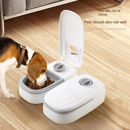 Dog Cat Automatic Feeder