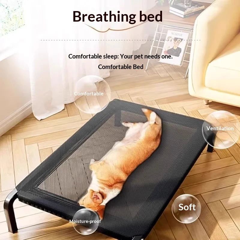 Chiropractic Dog Bed