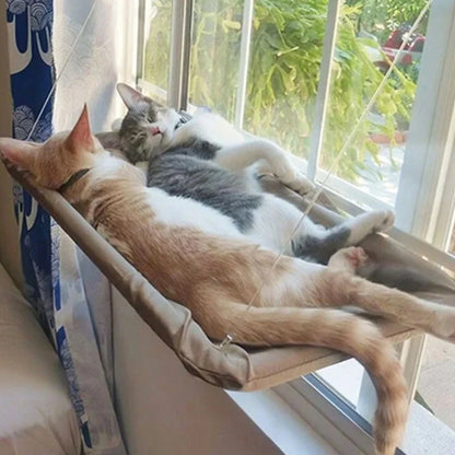 Chiropractic Cat Hammock