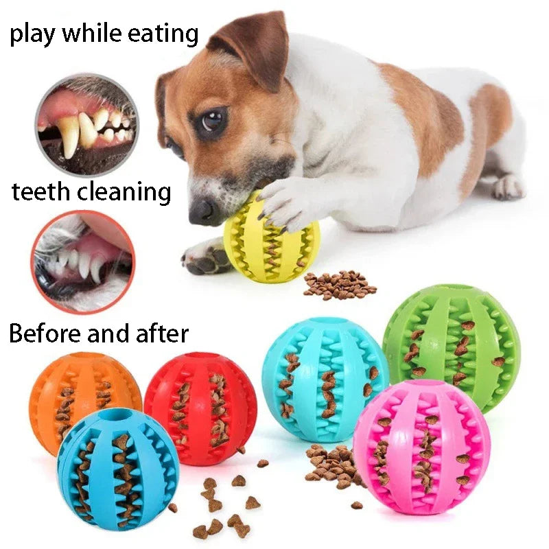 Dog Treat Dispensing Ball