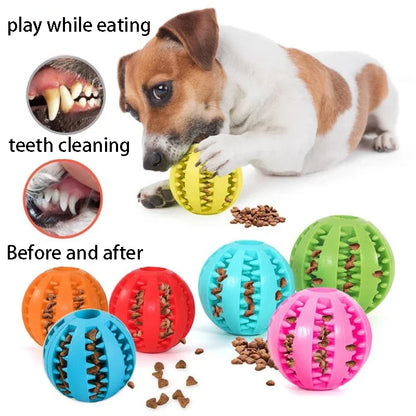 Dog Treat Dispensing Ball
