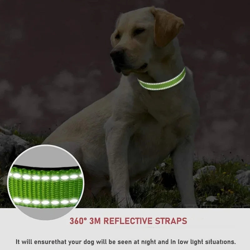 Reflective Dog Collar Strap