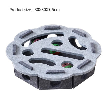 Interactive Cat Puzzle Toy