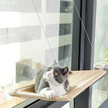 Chiropractic Cat Hammock