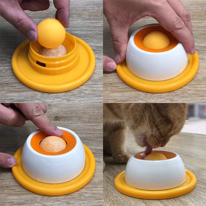 Pet Licking Bowl