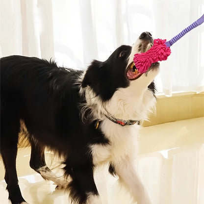 Durable Dog Toys for Aggressive Chewers