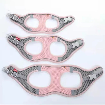 Cat Dog Harness Vest