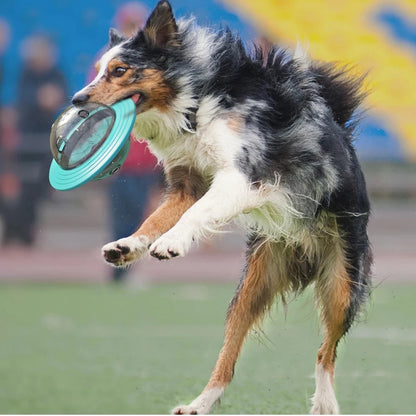 Interactive Dog Toy Treat