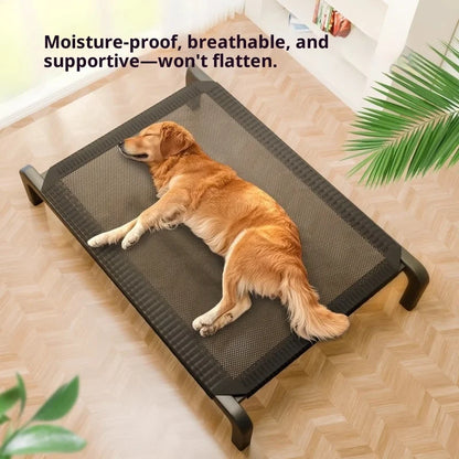Chiropractic Dog Bed