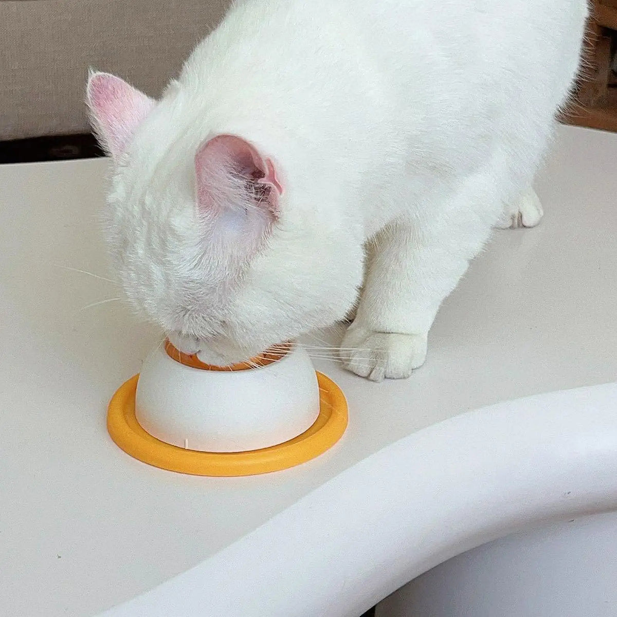 Pet Licking Ball