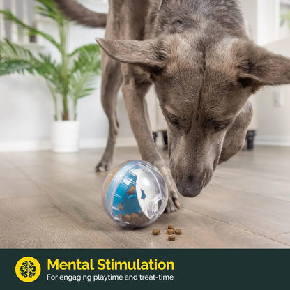 Treat Dispenser Toy