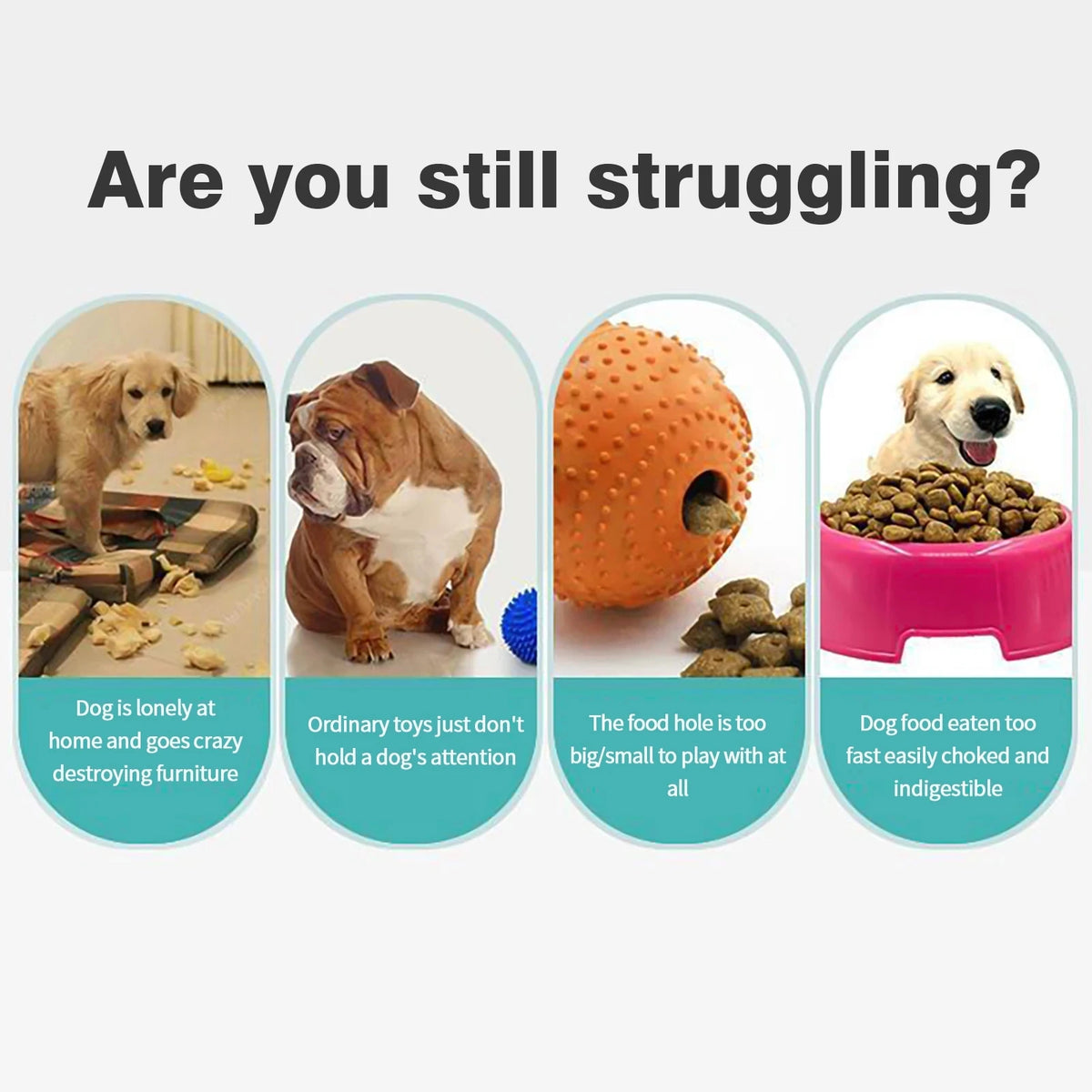 Interactive Dog Toy Treat
