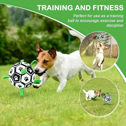 Interactive Dog Soccer Ball