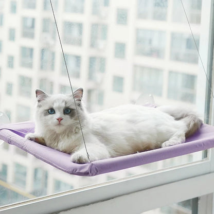 Chiropractic Cat Hammock